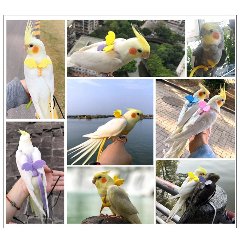 Adjustable Parrot Harness and Outdoor Flying Leash Set