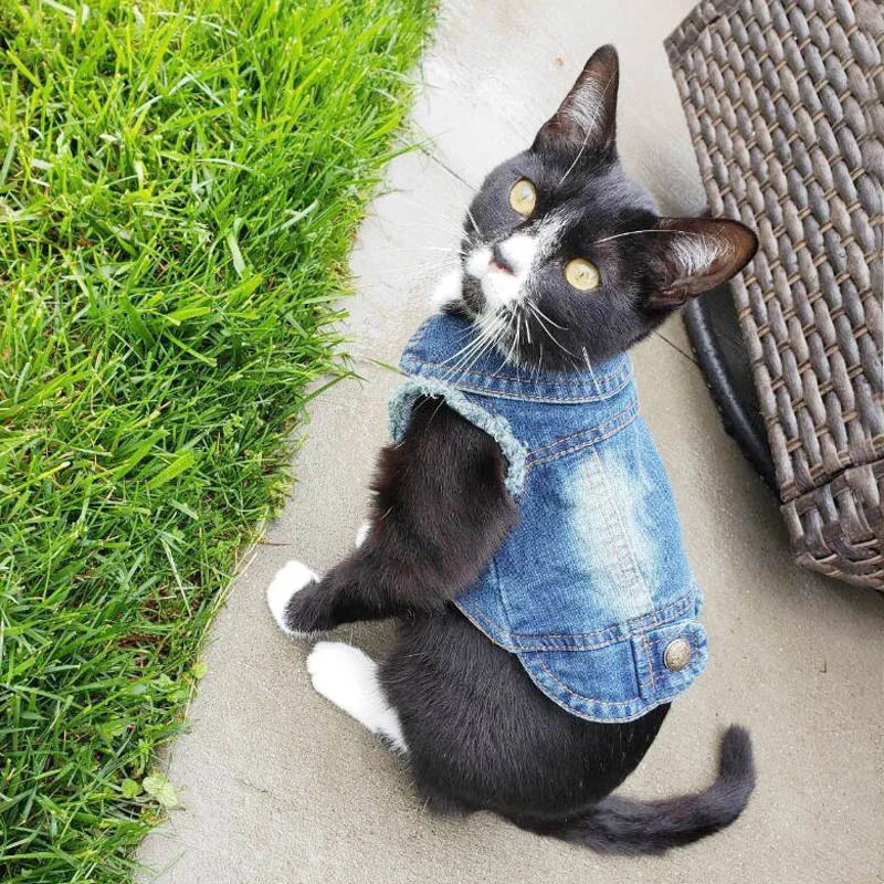 Casual Cat Denim Vest Jacket - Spring and Autumn Outfit