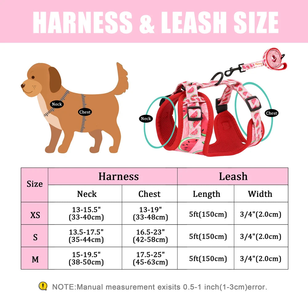 Adjustable Nylon Mesh Dog Harness and Leash Set - Printed Vest