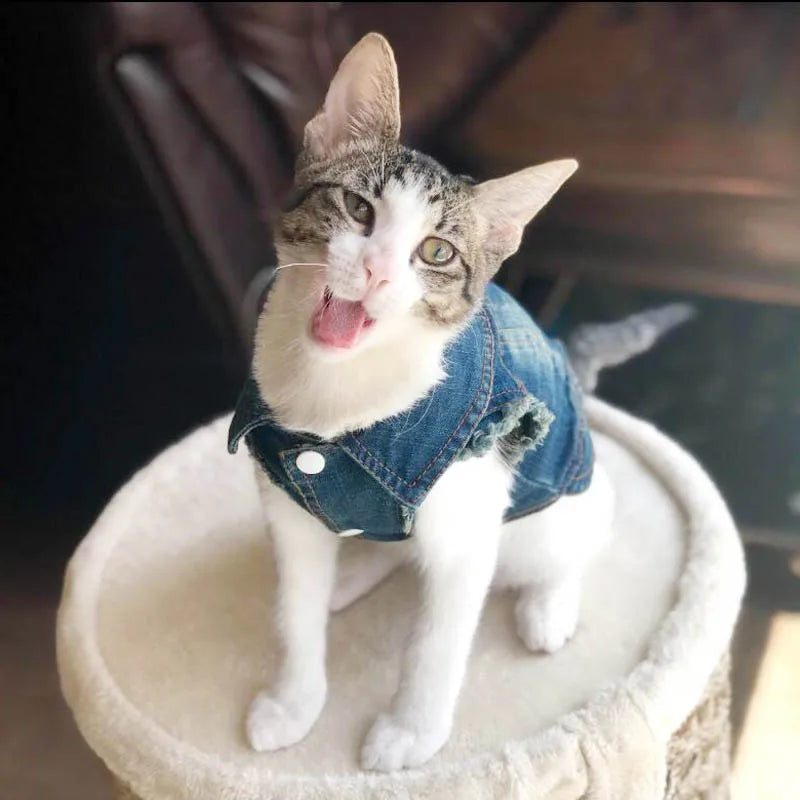 Casual Cat Denim Vest Jacket - Spring and Autumn Outfit