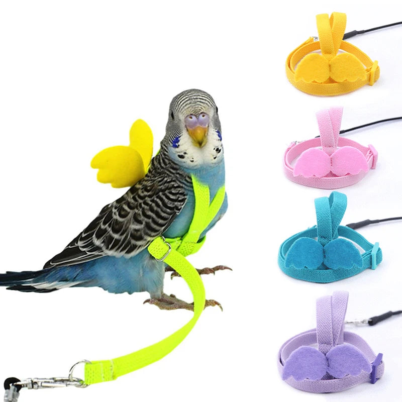 Adjustable Parrot Harness and Outdoor Flying Leash Set