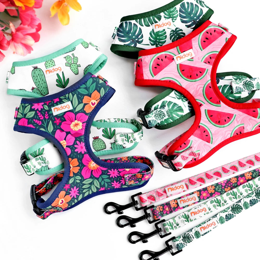 Adjustable Nylon Mesh Dog Harness and Leash Set - Printed Vest