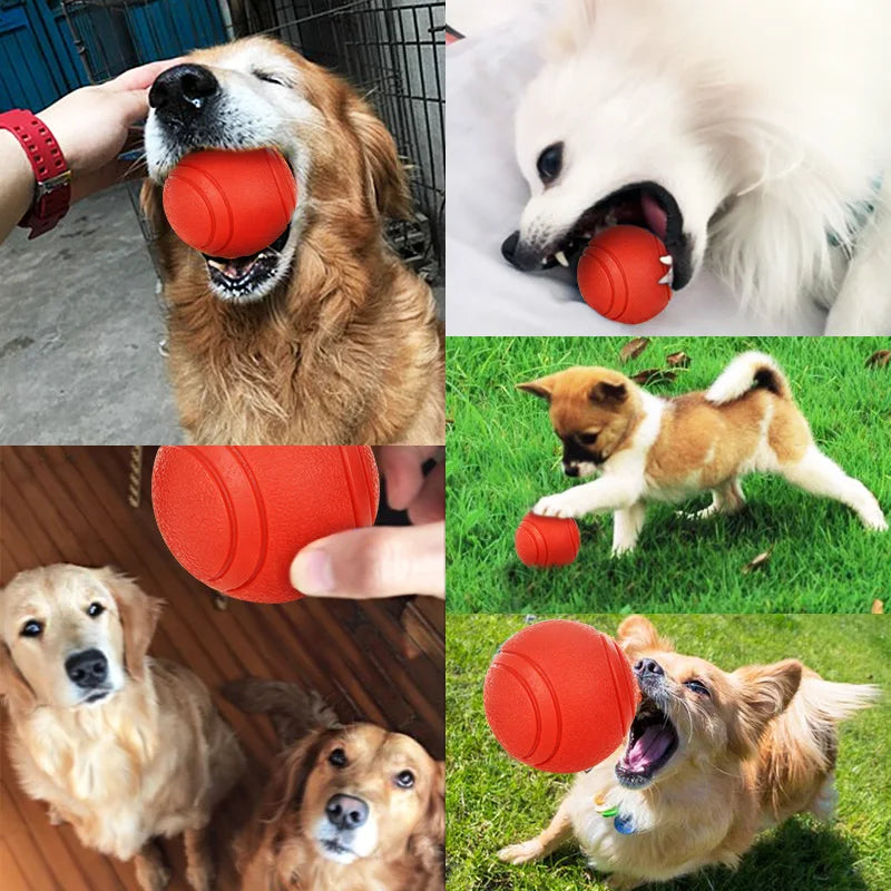 HOOPET Bite-Resistant Rubber Dog Ball Toy - S-XL