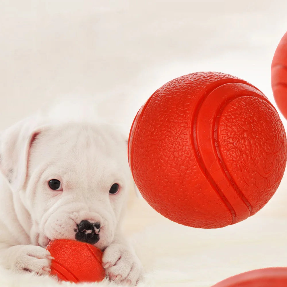 HOOPET Bite-Resistant Rubber Dog Ball Toy - S-XL