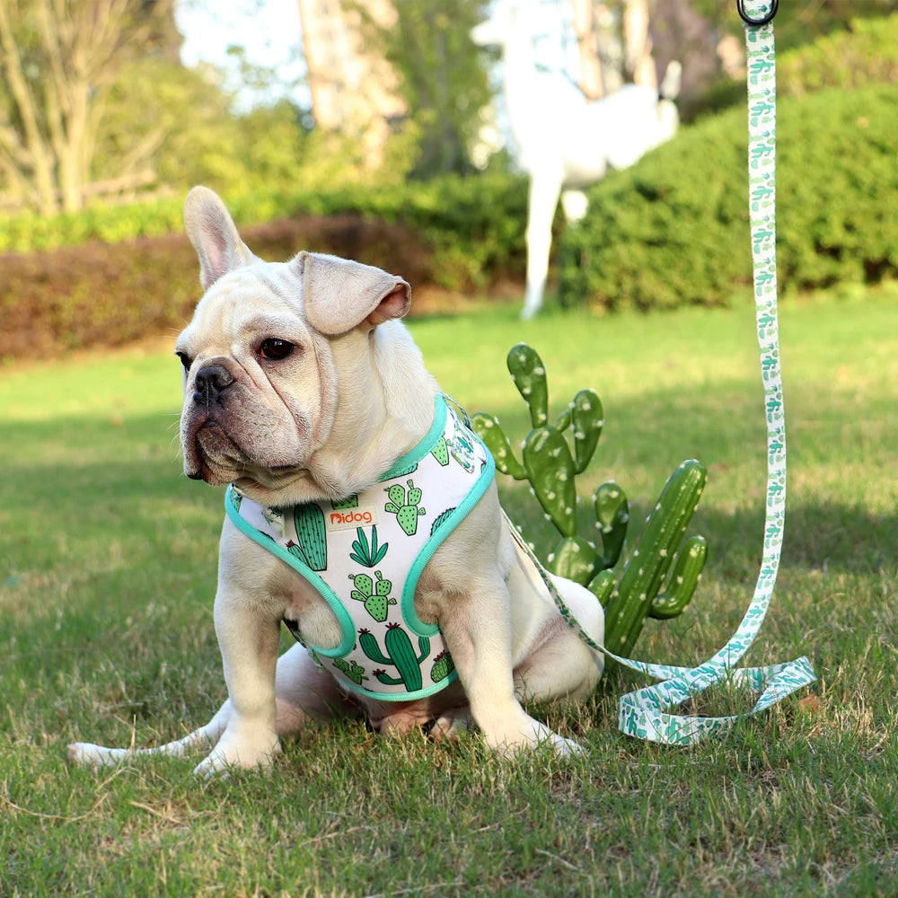 Adjustable Nylon Mesh Dog Harness and Leash Set - Printed Vest