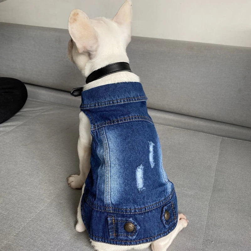 Casual Cat Denim Vest Jacket - Spring and Autumn Outfit