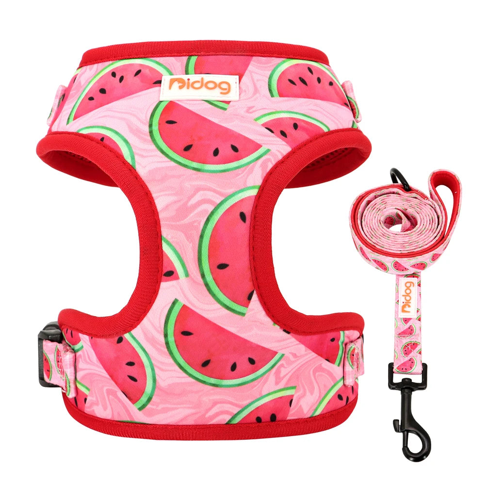 Adjustable Nylon Mesh Dog Harness and Leash Set - Printed Vest