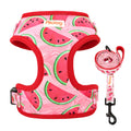 Adjustable Nylon Mesh Dog Harness and Leash Set - Printed Vest