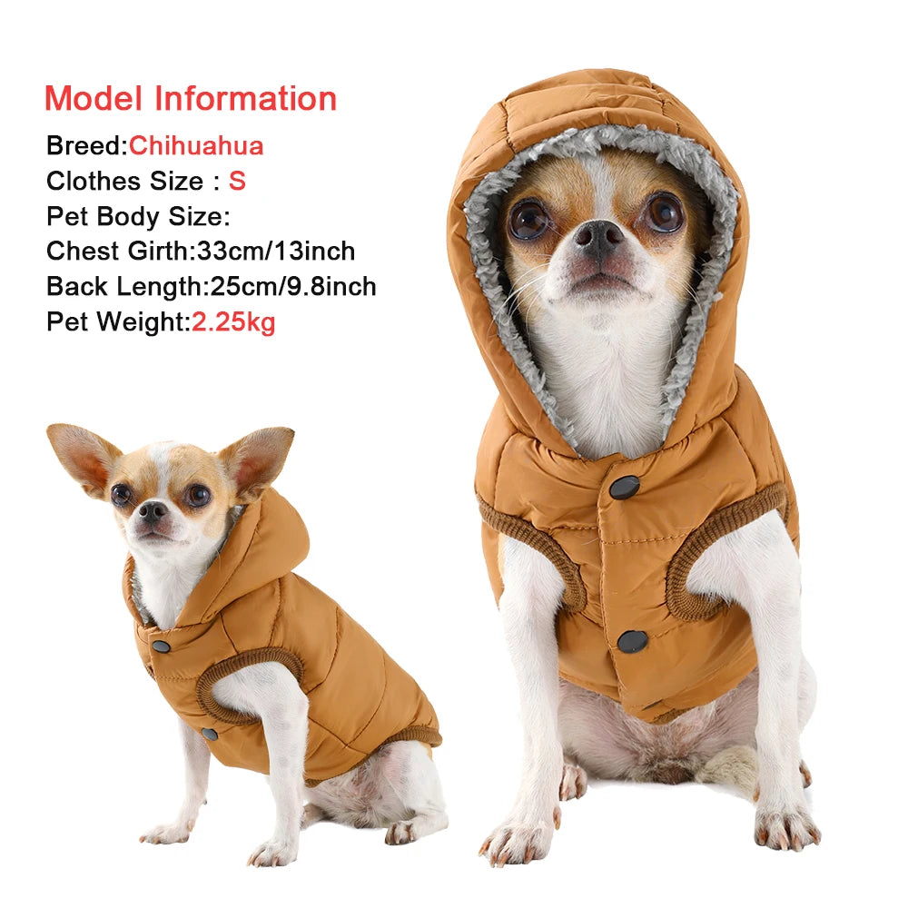 Cozy Fleece Cat Hoodie Coat - Windproof Winter Jacket