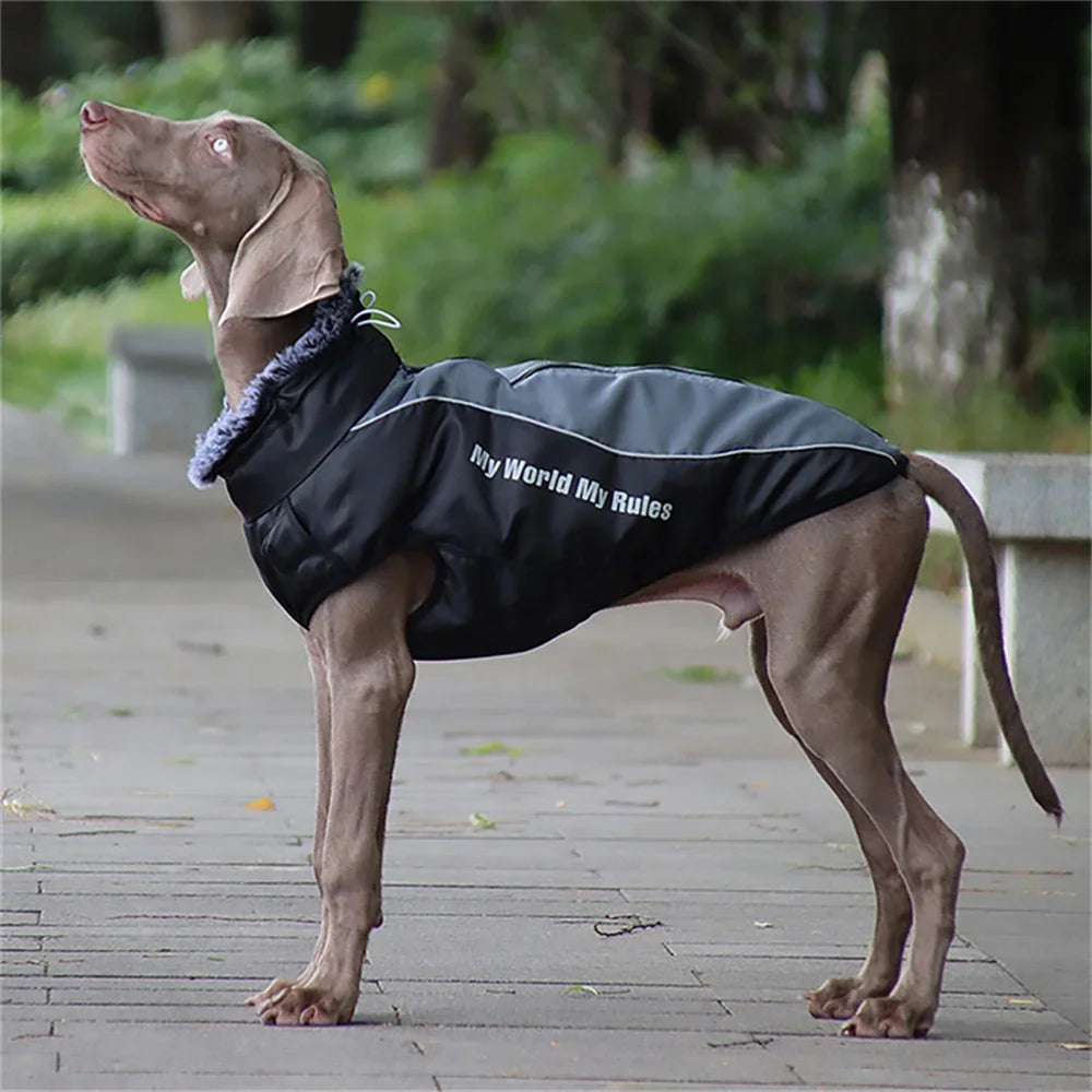 Fur Collar Big Dog Winter Coat - XL-6XL Jacket