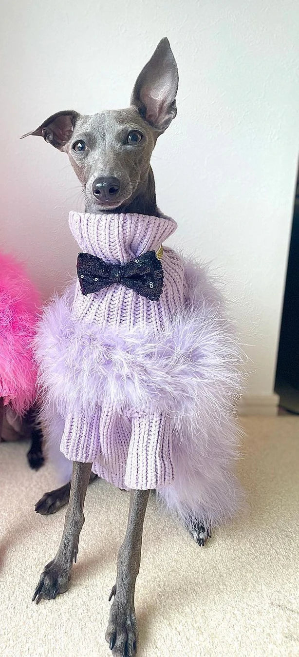 Fuzzy Winter Dog Sweater - Autumn Party Knit
