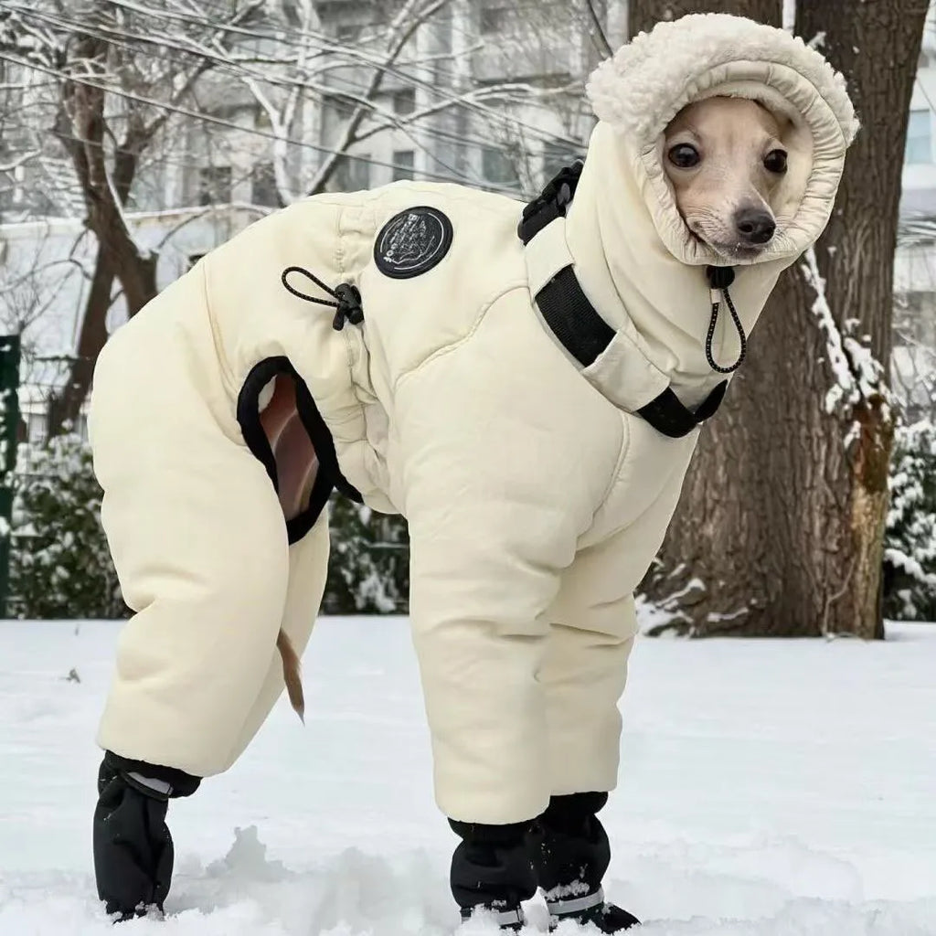 Thickened Winter Dog Jacket - Full Neck Coverage