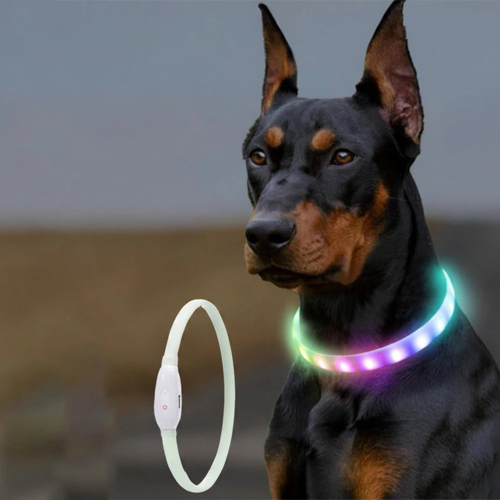 USB Rechargeable LED Dog Collar with 9 Flashing Modes