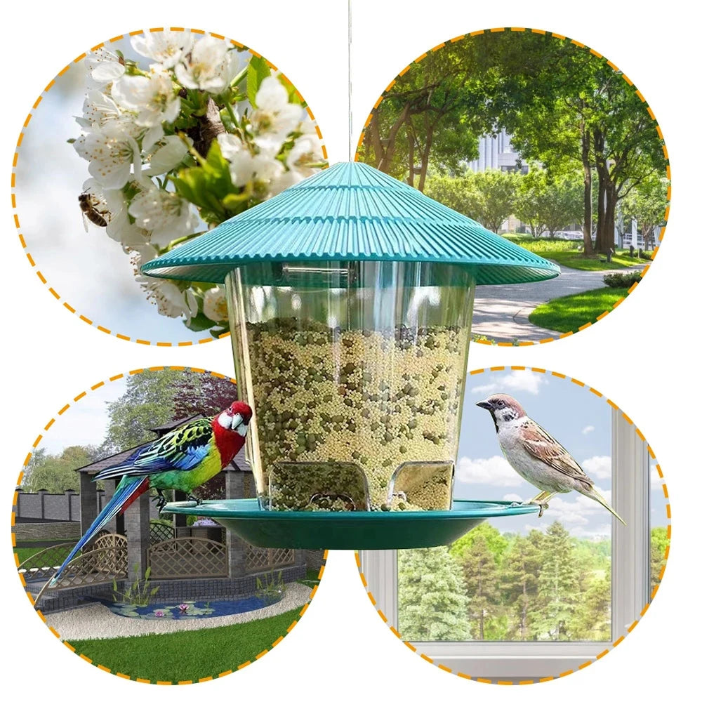 Hanging Outdoor Bird Seed and Peanut Feeder