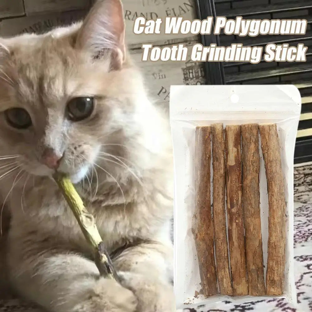 Natural Catnip Chew Sticks for Teeth Cleaning and Play