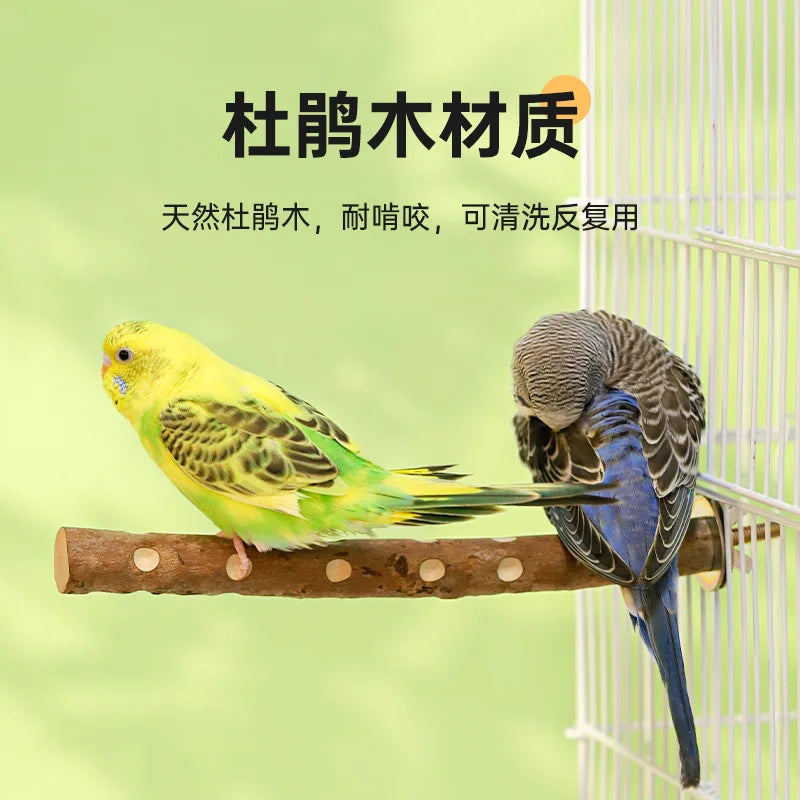 Natural Wood Parakeet Perch Stand for Budgies and Cockatiels