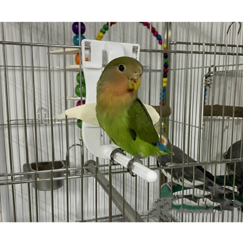 Plastic Bird Food Holder Clip for Fruit and Cuttlefish Bone