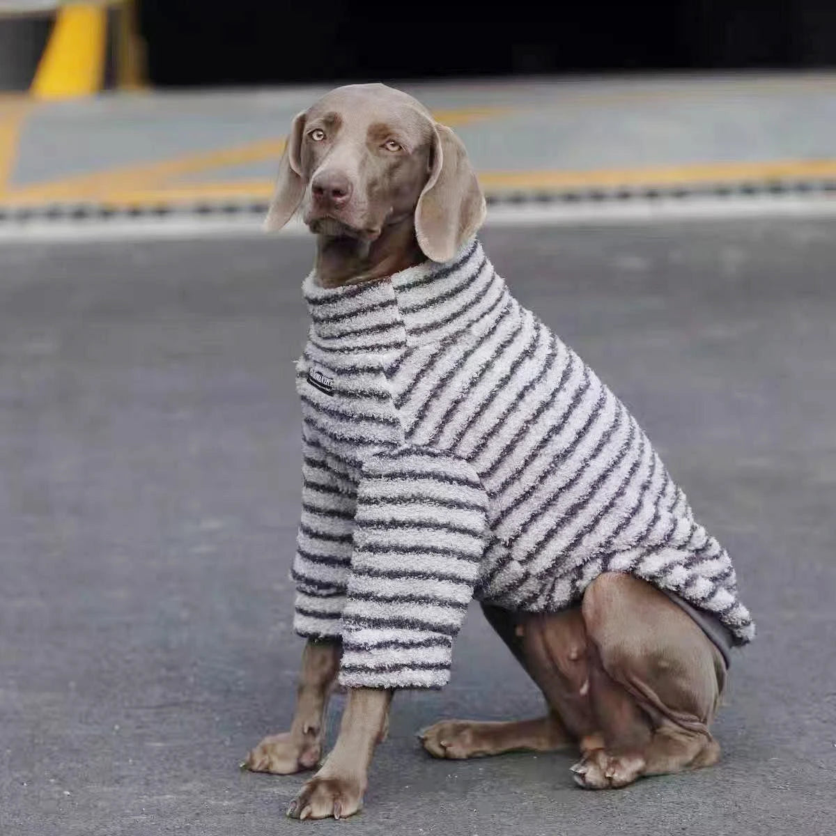 Striped Fleece Turtleneck Dog Sweater - Medium Large Dogs