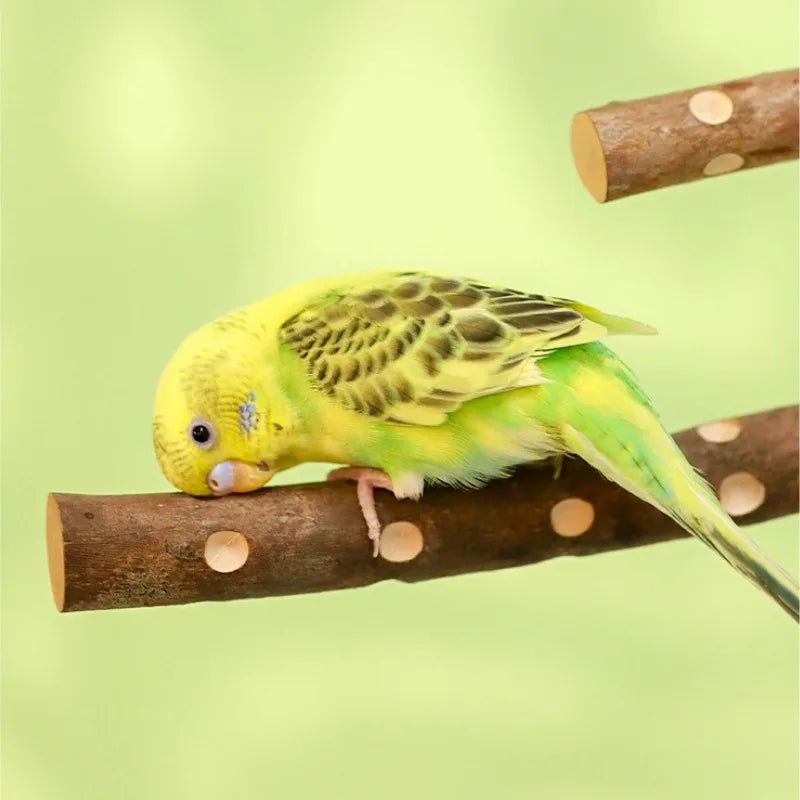 Natural Wood Parakeet Perch Stand for Budgies and Cockatiels