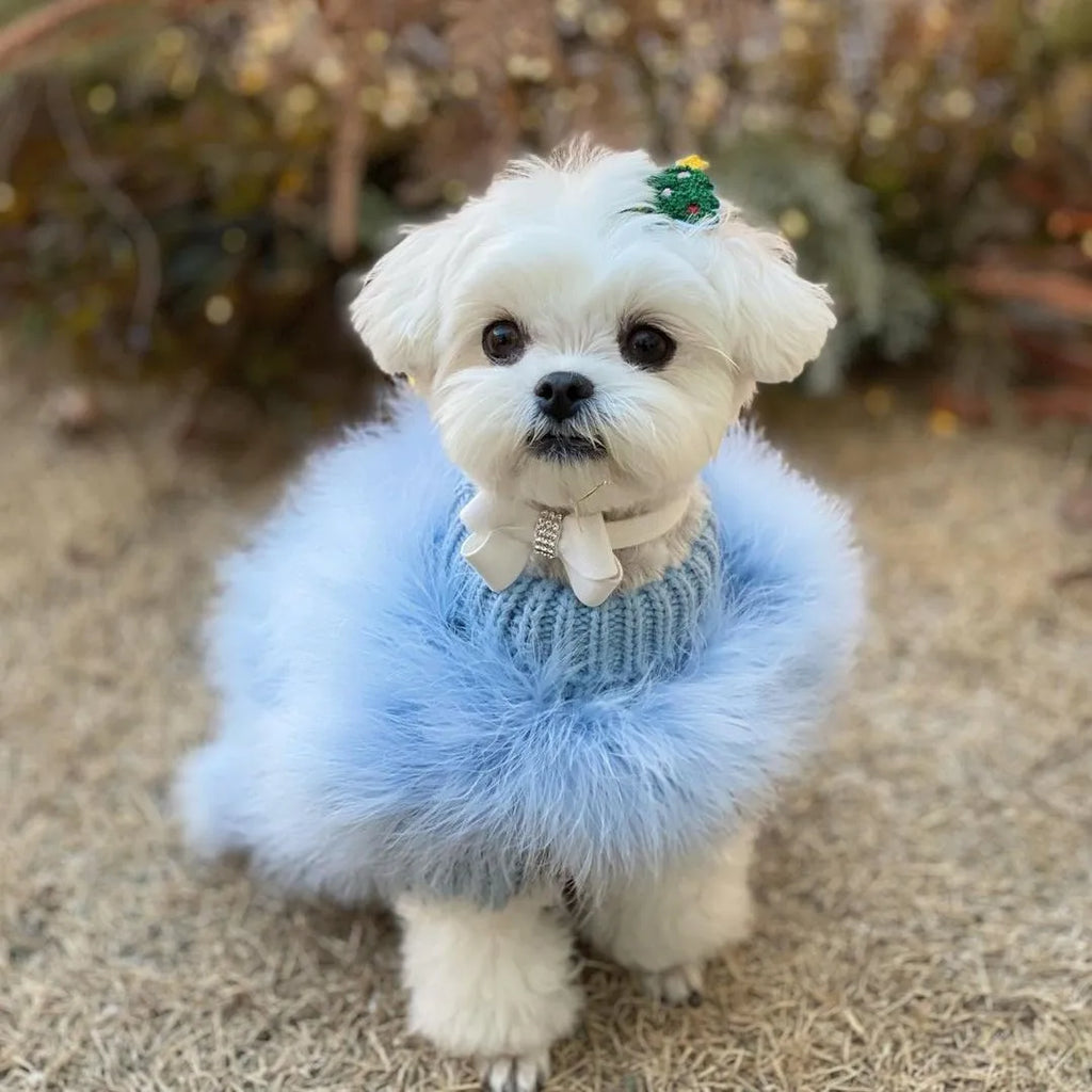 Fuzzy Winter Dog Sweater - Autumn Party Knit