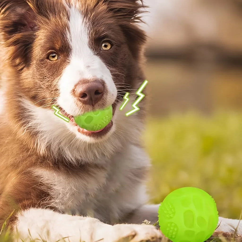 Glow-in-the-Dark Squeaky Dog Ball - TPR Chew Toy