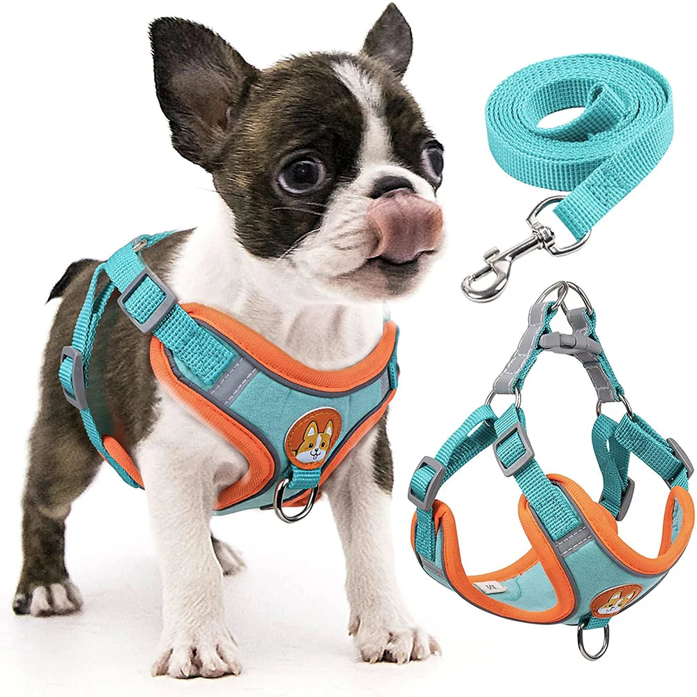 Step-In Reflective Dog Harness and Leash Set - Soft Vest