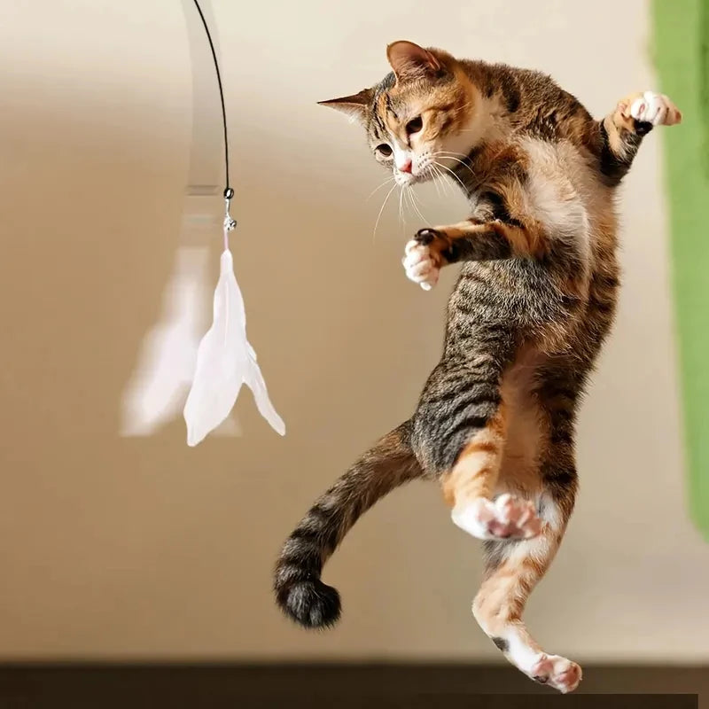 Interactive Cat Feather Wand Toy with Bell and Suction Cup