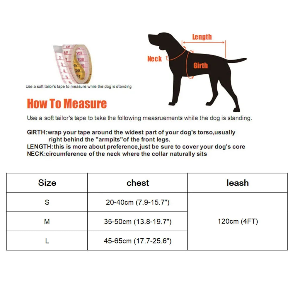Breathable Nylon Cat Harness and Leash Set with Bow Detail