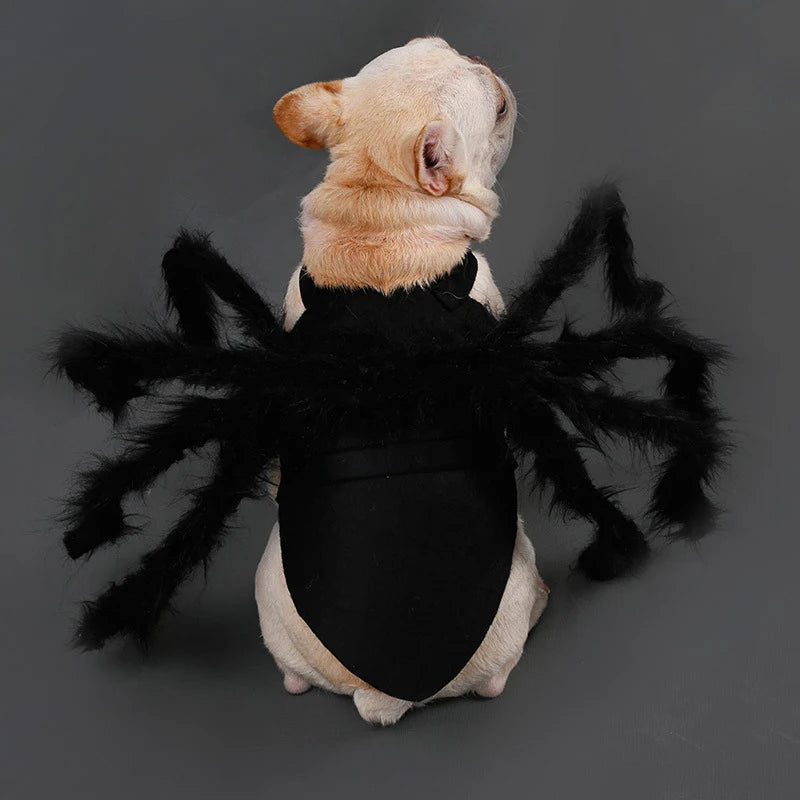 NONOR Spider Pet Costume - Funny Halloween Party Outfit