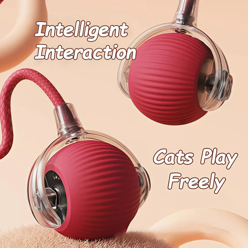 Rechargeable Rolling Cat Ball Toy with Faux Tail