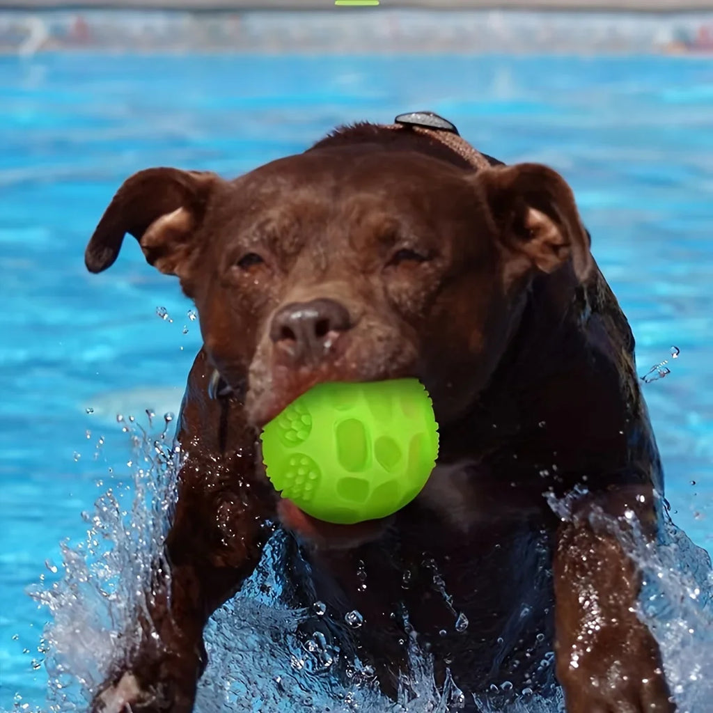 Glow-in-the-Dark Squeaky Dog Ball - TPR Chew Toy