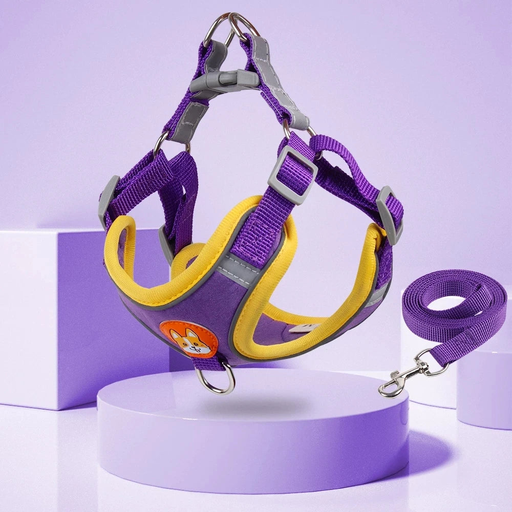 Step-In Reflective Dog Harness and Leash Set - Soft Vest