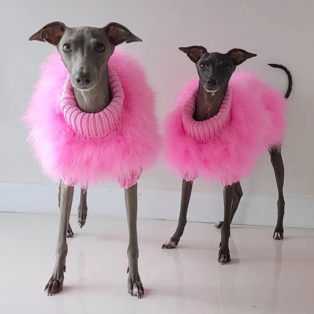 Fuzzy Winter Dog Sweater - Autumn Party Knit
