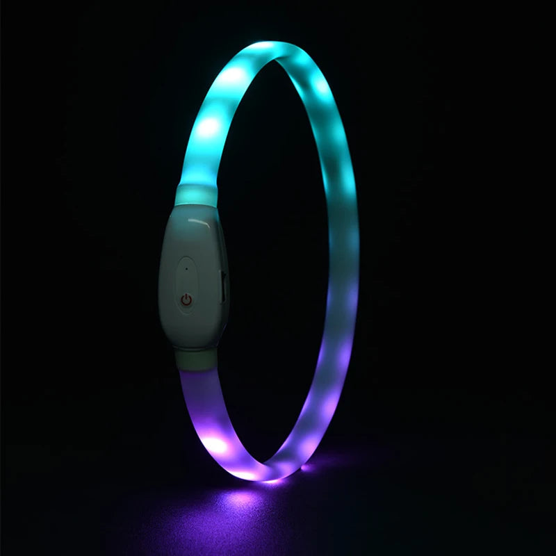 USB Rechargeable LED Dog Collar with 9 Flashing Modes