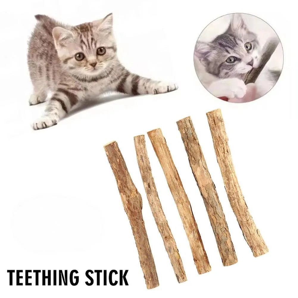 Natural Catnip Chew Sticks for Teeth Cleaning and Play