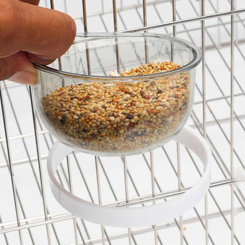 Transparent Hanging Bird Seed and Water Feeder Cup