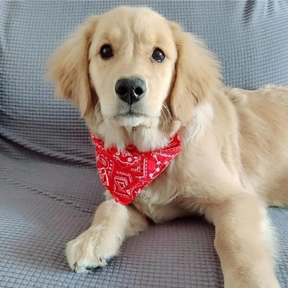 Adjustable Dog Bandana Scarf Collar for Everyday Style