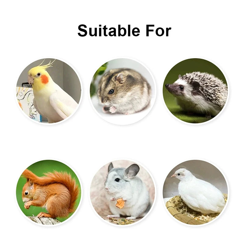 Transparent Hanging Bird Seed and Water Feeder Cup