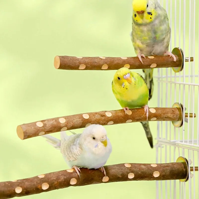 Natural Wood Parakeet Perch Stand for Budgies and Cockatiels