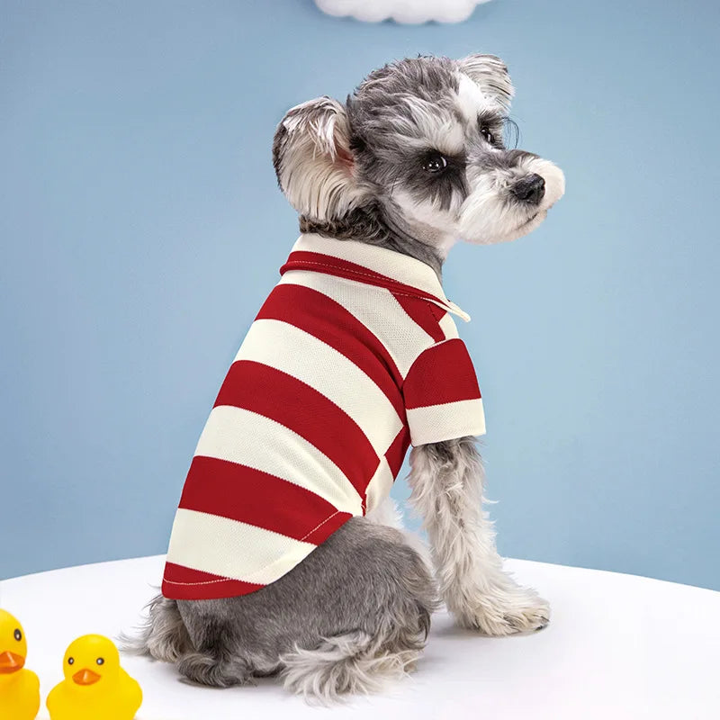 Casual Pet Polo Shirt - Summer Dog and Cat T-Shirt