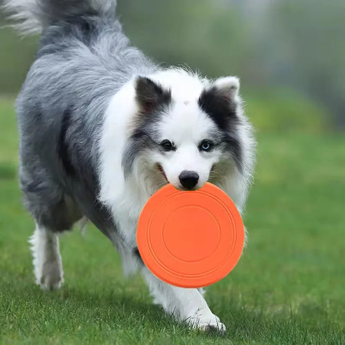 Chewable Rubber Dog Frisbee - Tear-Resistant Fetch Disc