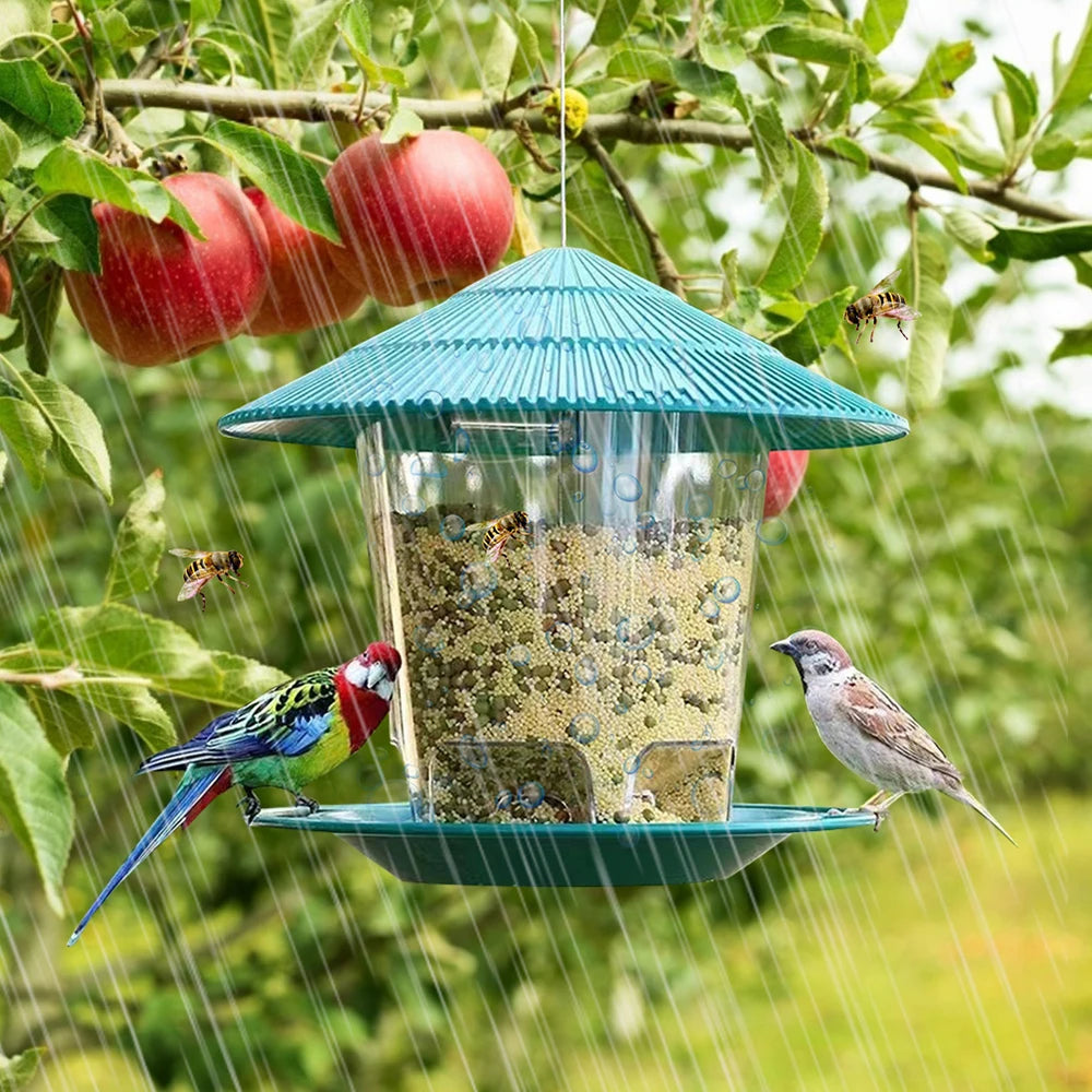 Hanging Outdoor Bird Seed and Peanut Feeder