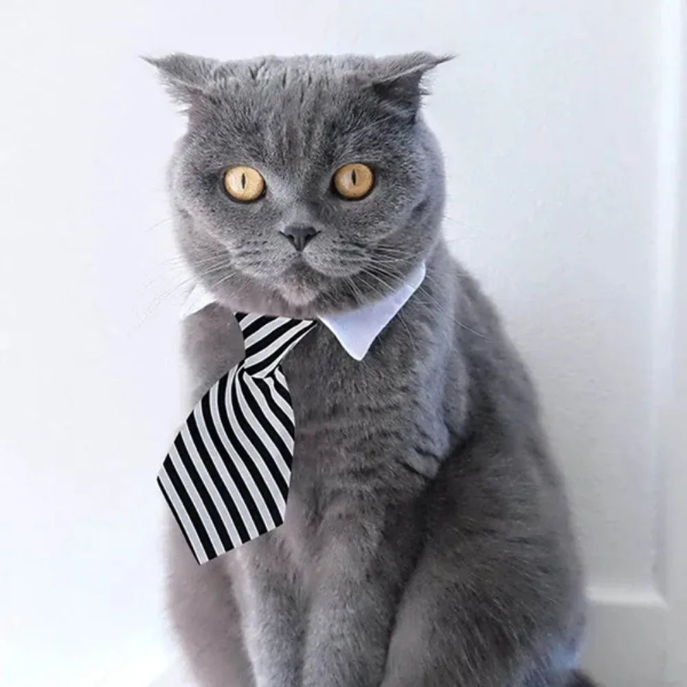 Adjustable Pet Bow Tie Necktie for Dogs and Cats
