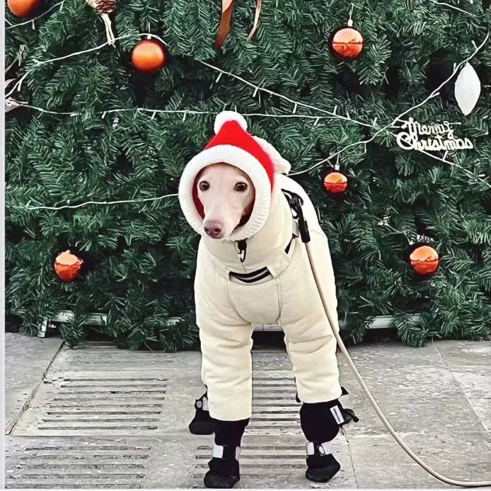 Thickened Winter Dog Jacket - Full Neck Coverage