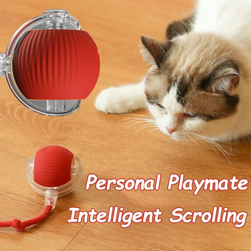 Rechargeable Rolling Cat Ball Toy with Faux Tail