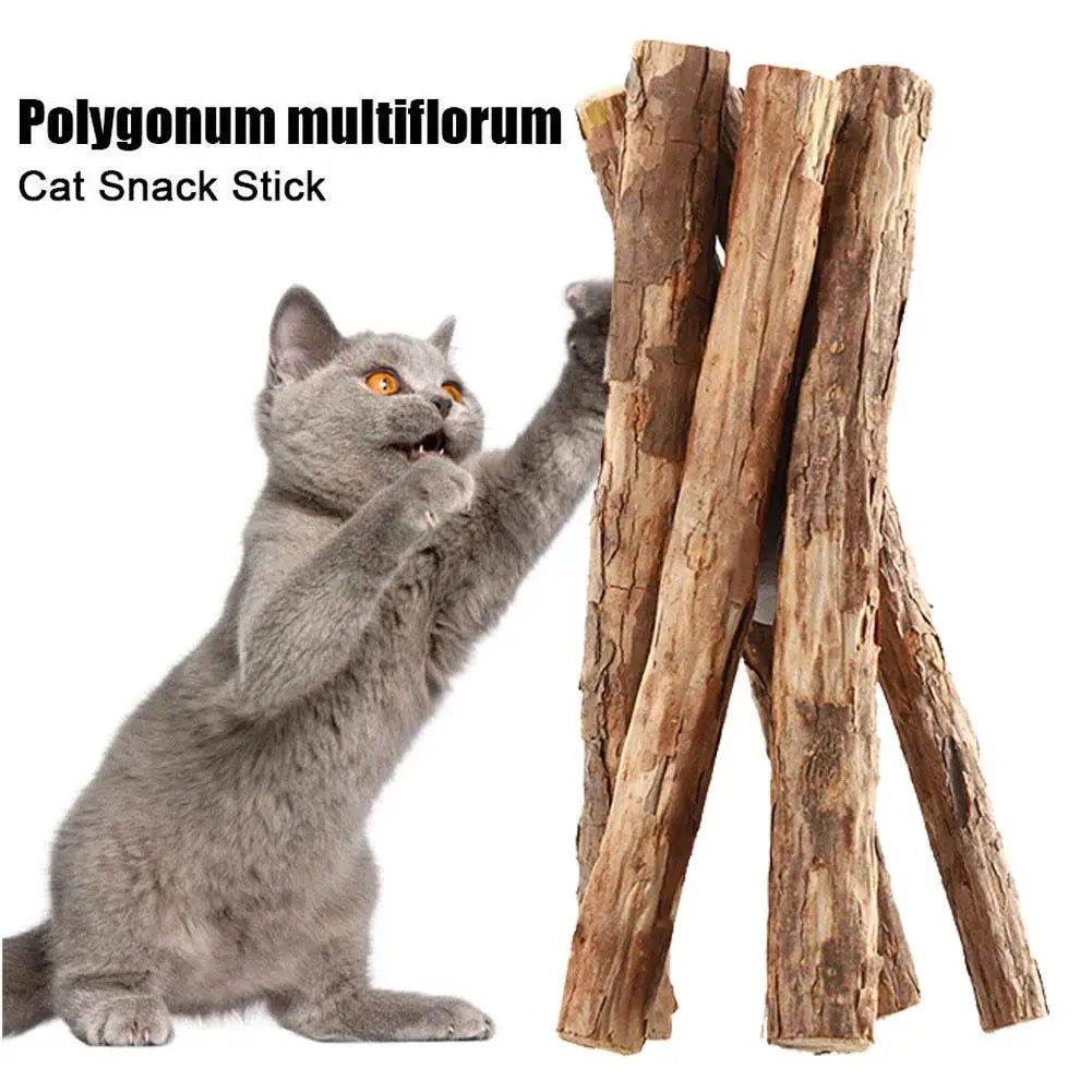 Natural Catnip Chew Sticks for Teeth Cleaning and Play