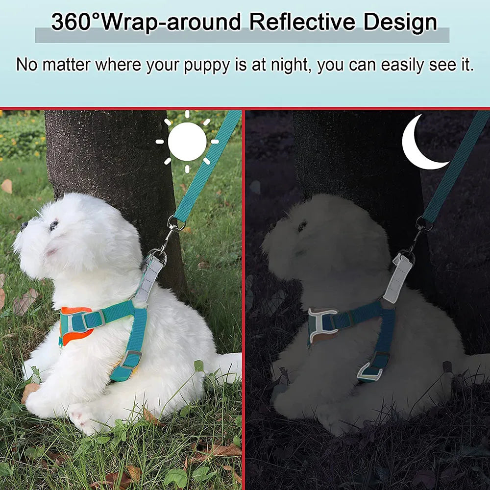 Step-In Reflective Dog Harness and Leash Set - Soft Vest