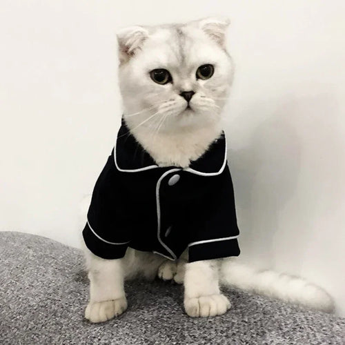 Christmas Cat Hoodie Suit - Winter Sphynx Sweatshirt