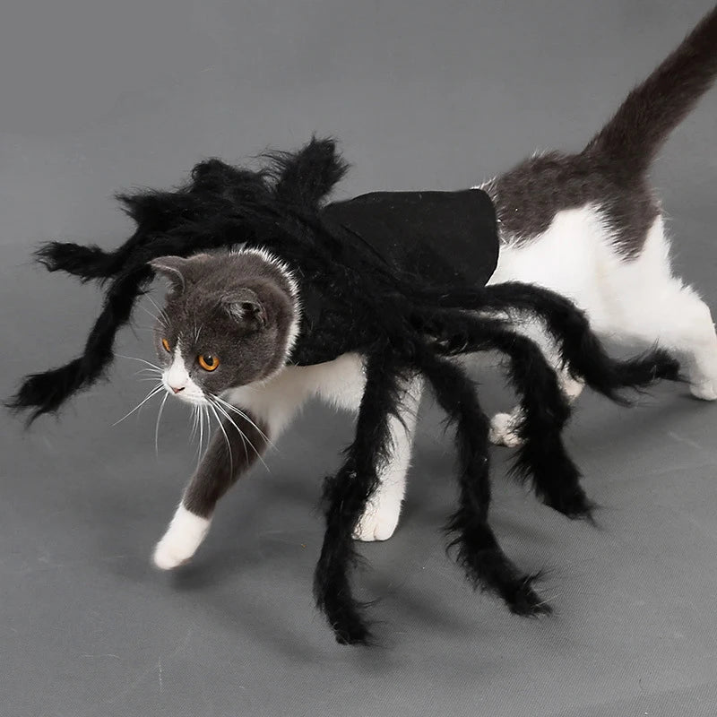 NONOR Spider Pet Costume - Funny Halloween Party Outfit