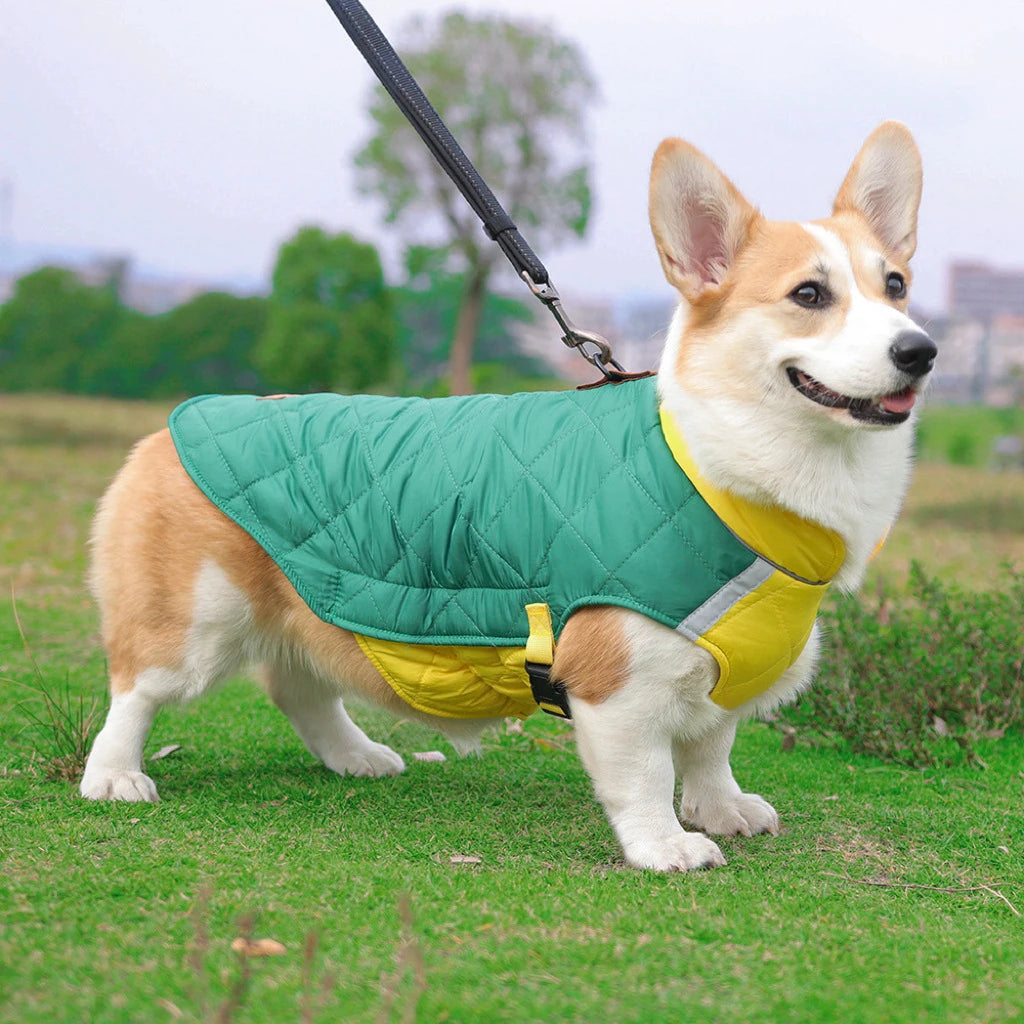 Waterproof Padded Winter Dog Vest Jacket - Small to Large Dogs